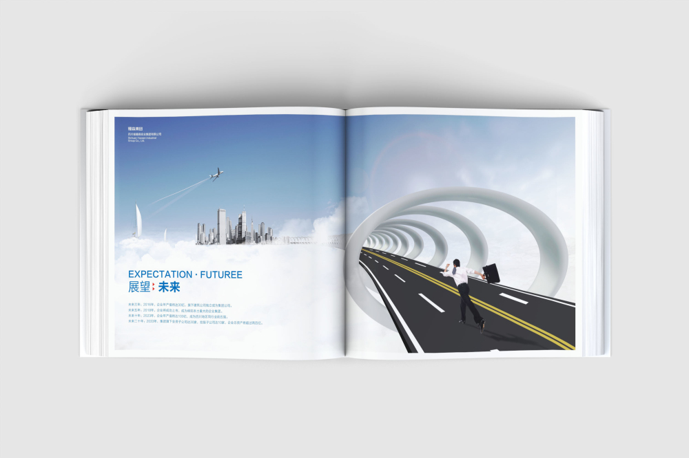 荷塘区画册设计